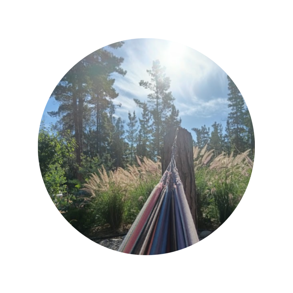 diseño sin título (11)